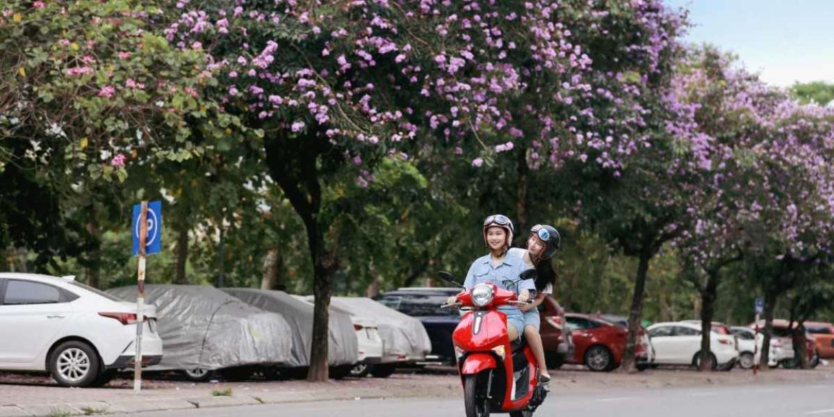 Hè về, bỏ túi ngay 5 địa điểm check-in siêu hot ở Hà Nội dành cho các tín đồ sống ảo