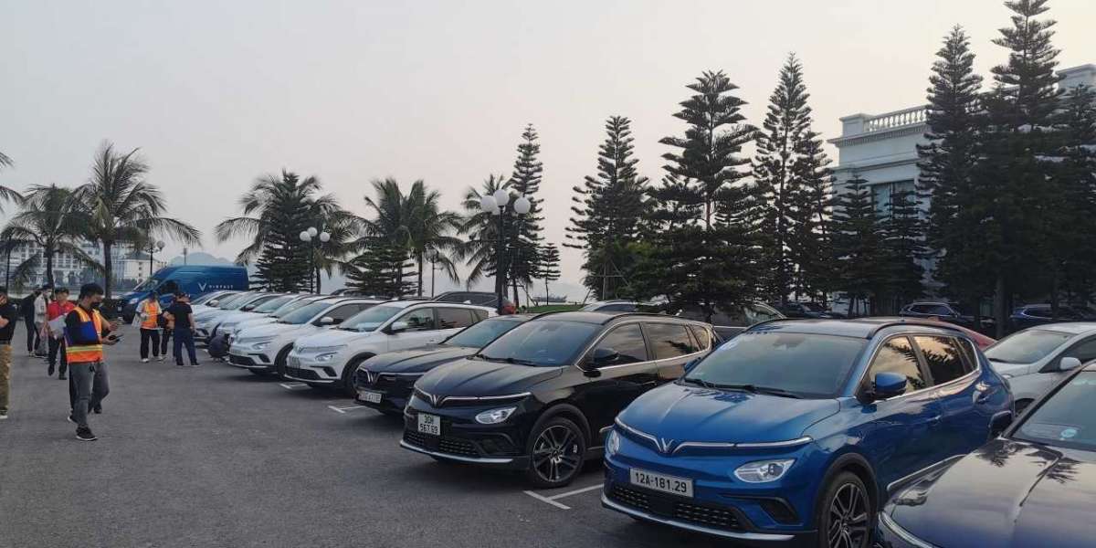 Sẽ ra sao khi Vinfast VF e34 hết pin giữa đường?
