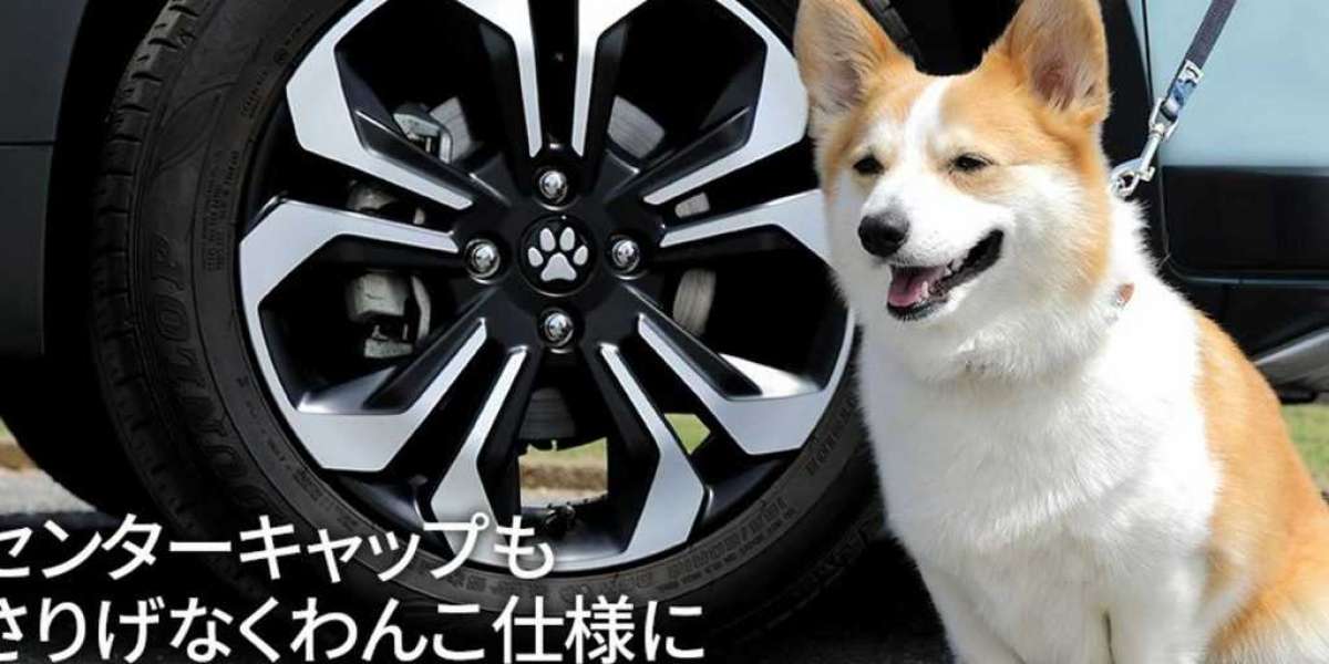 Honda Nhật Bản giới thiệu bộ phụ kiện dành cho “sen” mê cún
