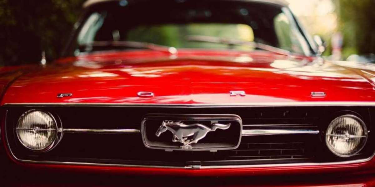 Những “thuật ngữ” chỉ người mê Ford Mustang mới hiểu