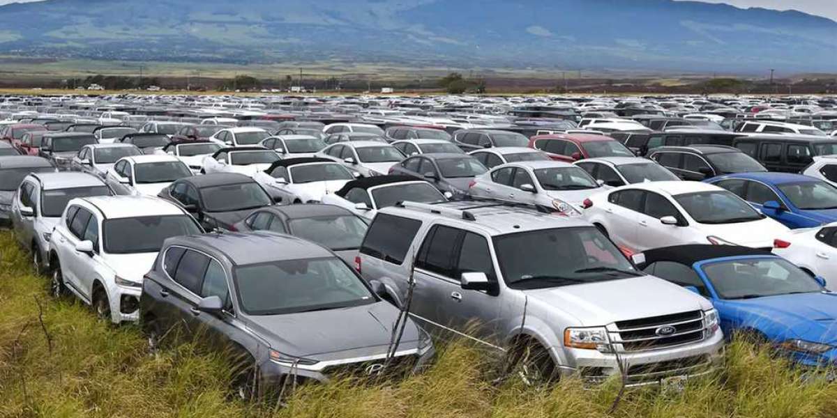 2020 – năm mất mát của công nghiệp ô tô