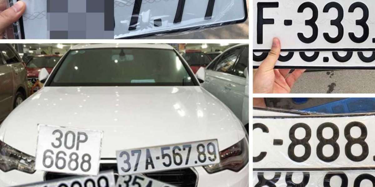 Thông tin chi tiết về quy trình đấu giá biển số xe