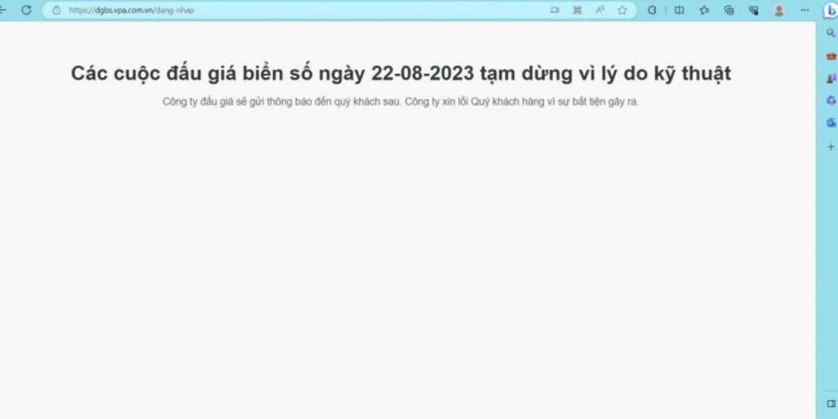 Tạm dừng phiên đấu giá biển số ô tô đầu tiên