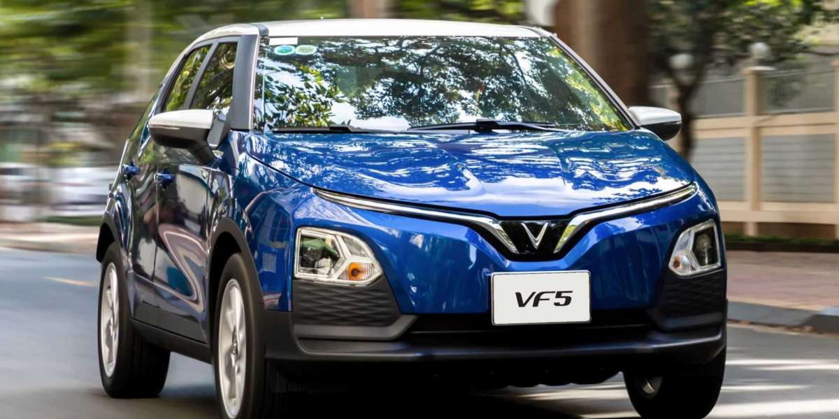 Chủ xe VinFast hào hứng khoe “chiến công” giảm hàng tấn CO₂ khi đi xe điện