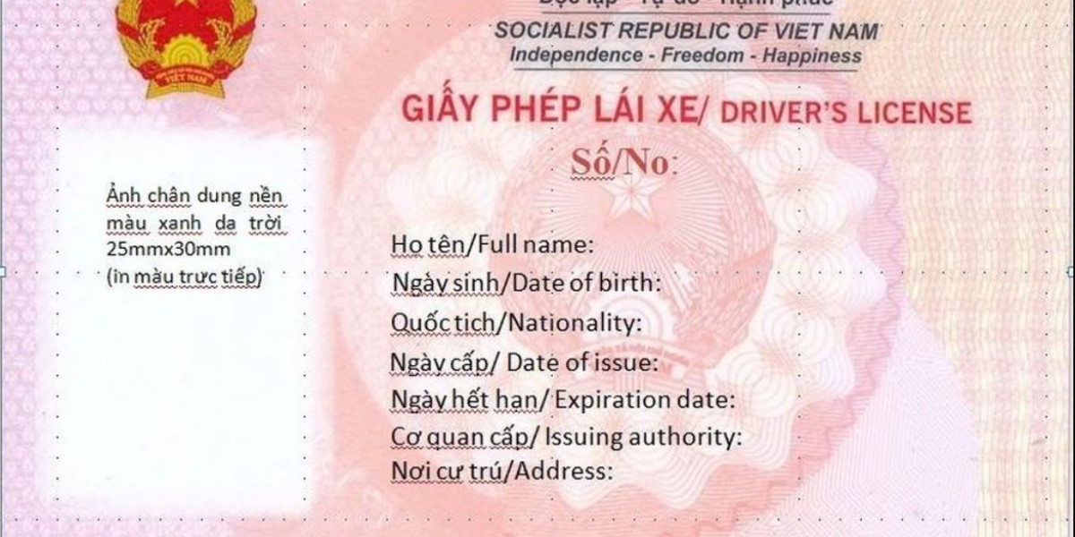 Từ 1/3, sử dụng Giấy phép lái xe do Bộ Công an cấp